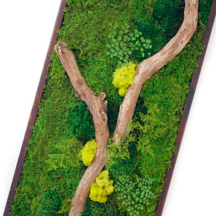 Moss Wall Art 18x36