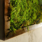 moss wall art 18x36