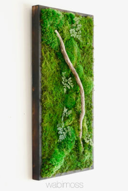 Moss Wall Art 36x18 with Driftwood