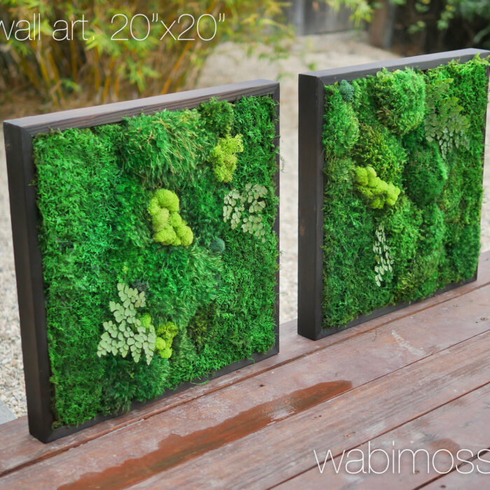 20x20-wabimoss