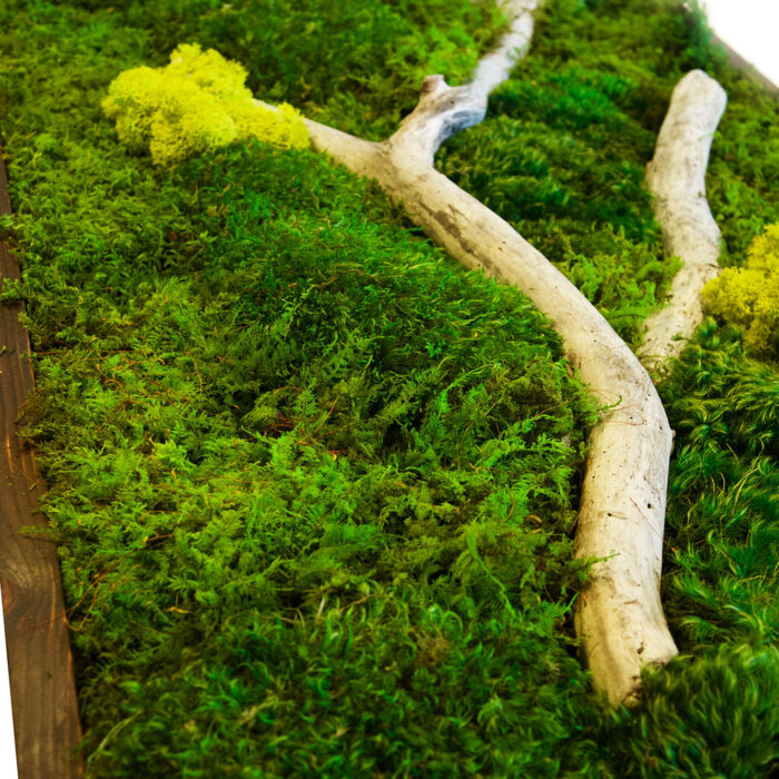 moss wall art