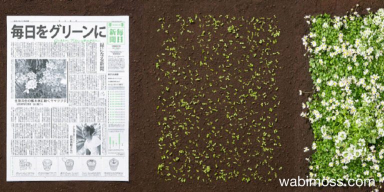 The Japanese Newspaper That’s Reinventing Recycling