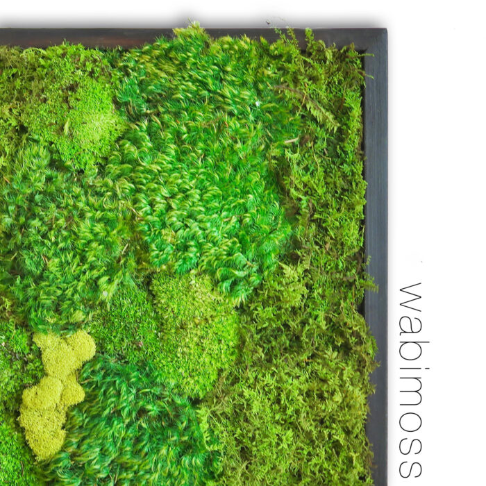 18x18-moss-art-3