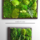 small moss artwork