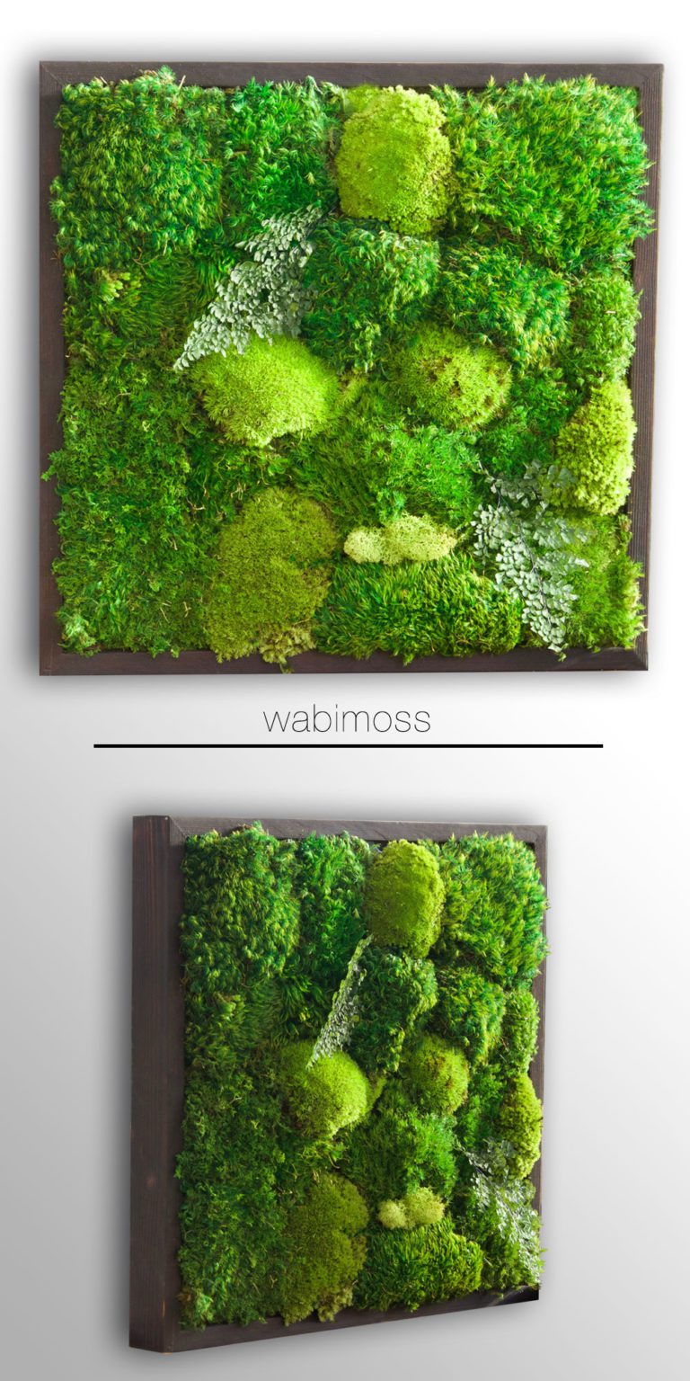 Moss Wall Art 18×18