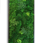 18x36-moss-art