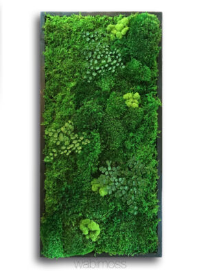 Moss Wall Art 36x18