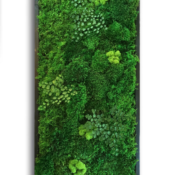 18x36-moss-art