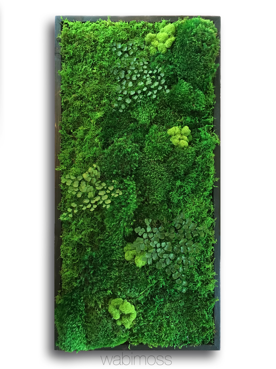Moss Art 20w x 20h