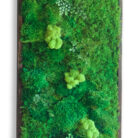 18x36-no-stick-front-B
