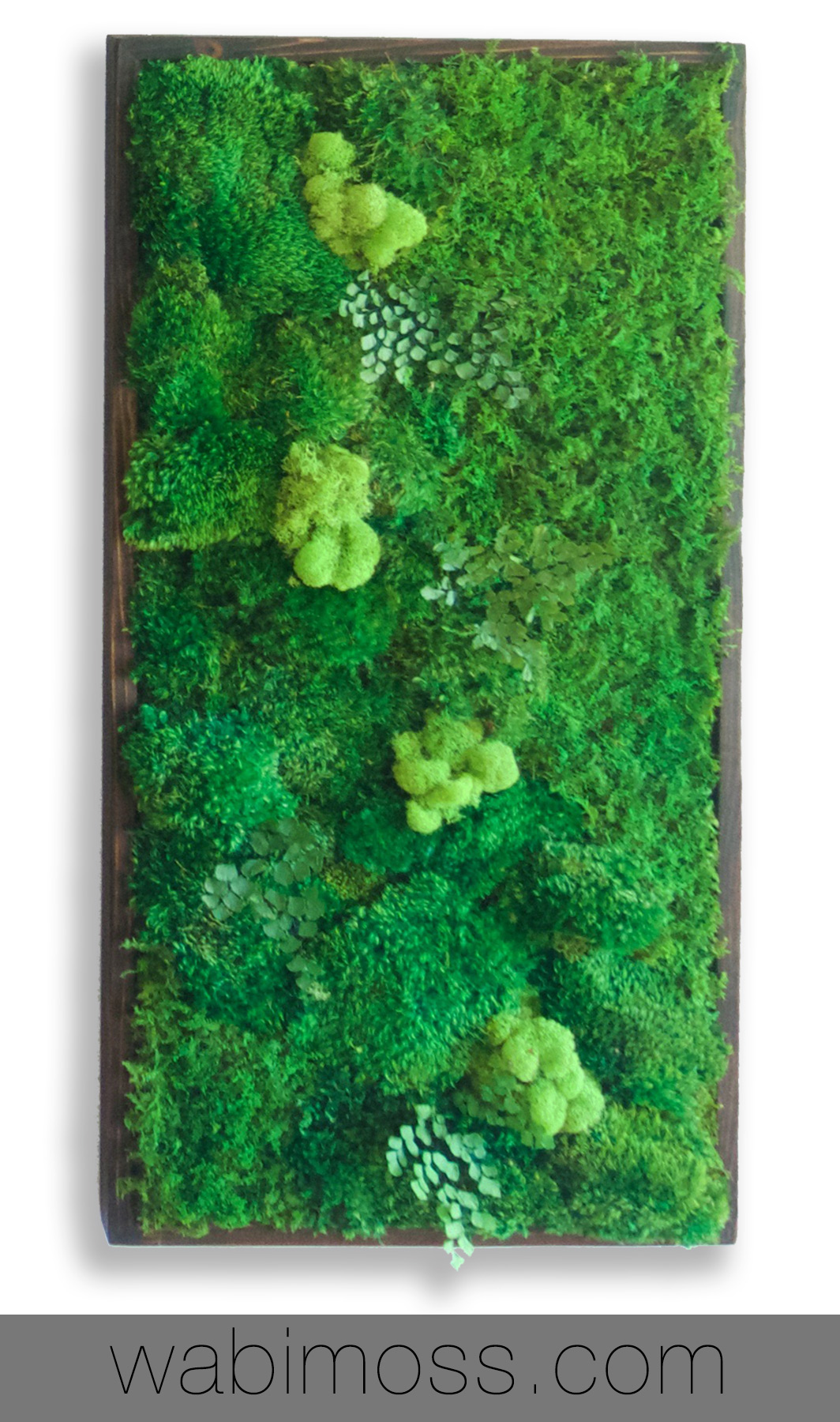 Finished Wood Moss Wall Decor for Sale