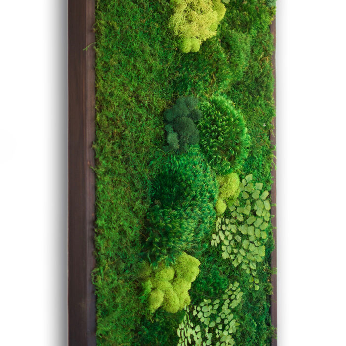 18x36-no-sticks-closeup2