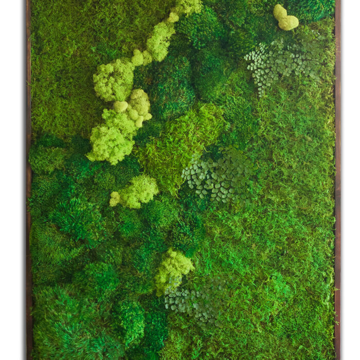 36x54-large-moss-artwork