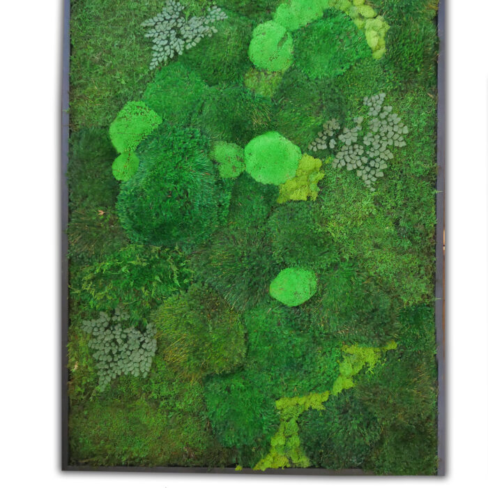 36x54-moss-white-background