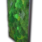 36x54-side-view