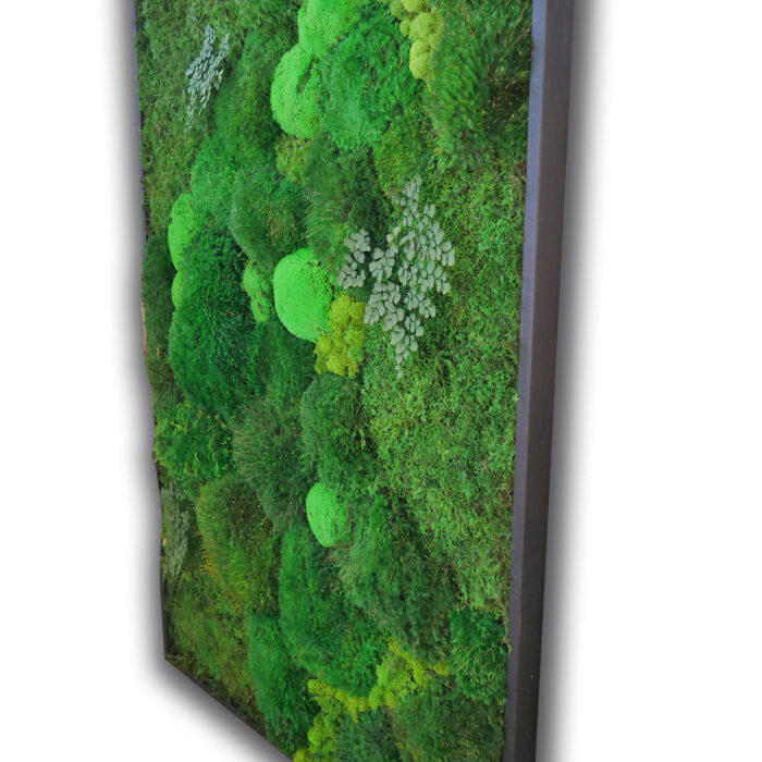 36x54-side-view