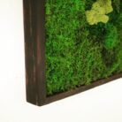 moss wall art 18x18
