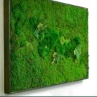 moss wall art 54x36