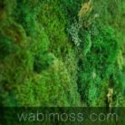 moss wall art 54x36