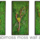 manzanita-36x18-triptic-large