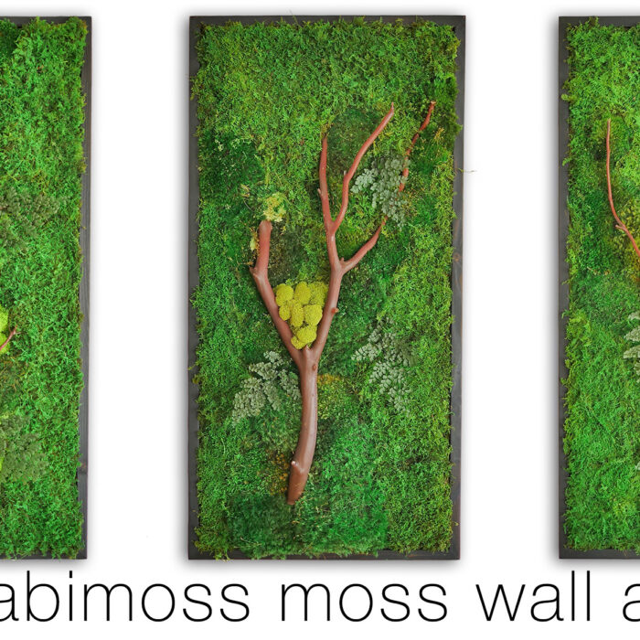 manzanita-36x18-triptic-large manzanita-36x18-triptic-large