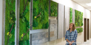 Vegas moss wall art in a doctors office, hallway with artist