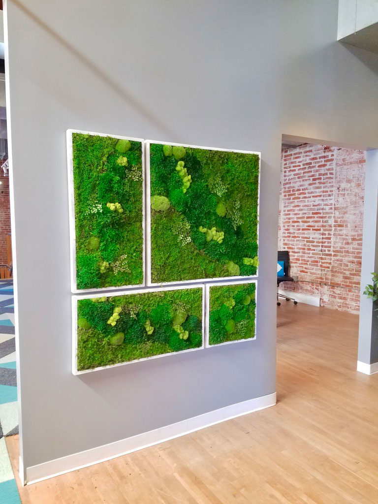 large moss collage in white