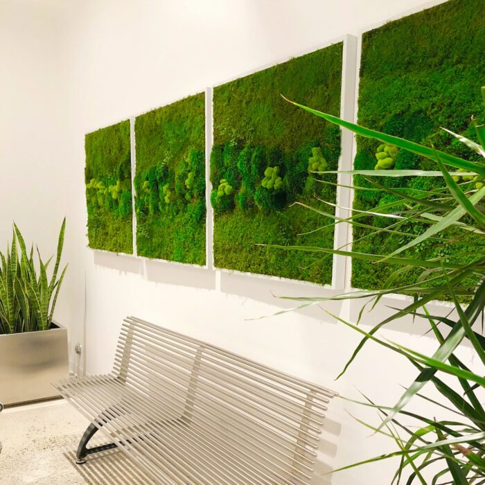 Medium-sized moss artwork above bench