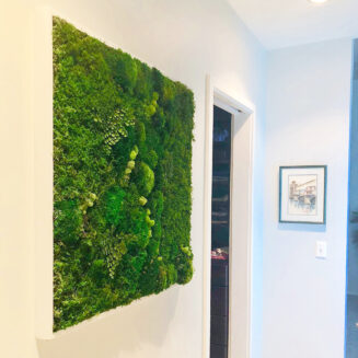 medium moss artwork in hallway