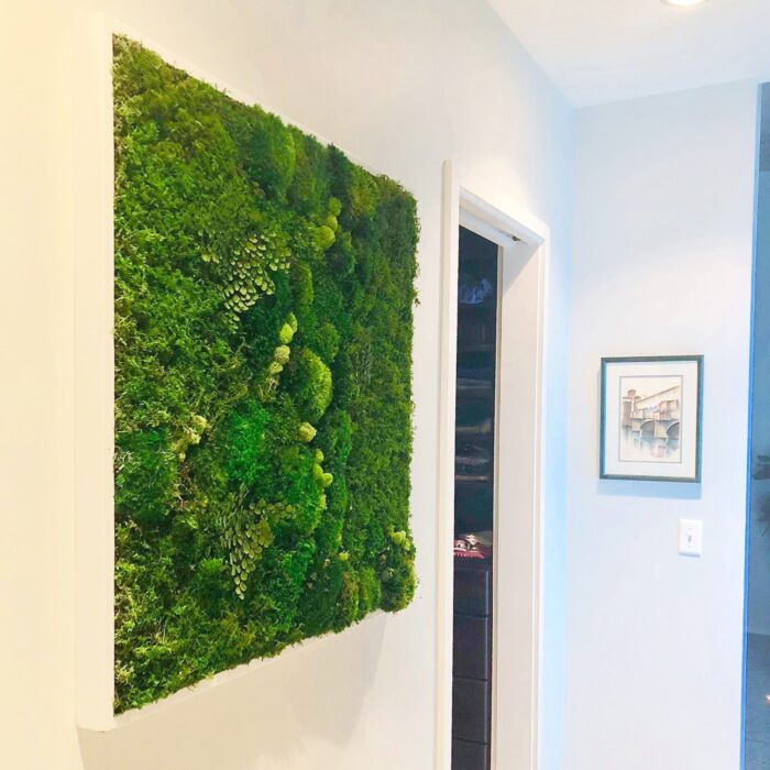 medium moss artwork in hallway