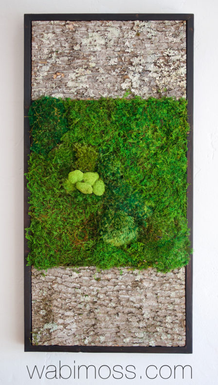 Bark and Moss Wall Art 36x18 - WabiMoss