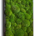 pole moss wall