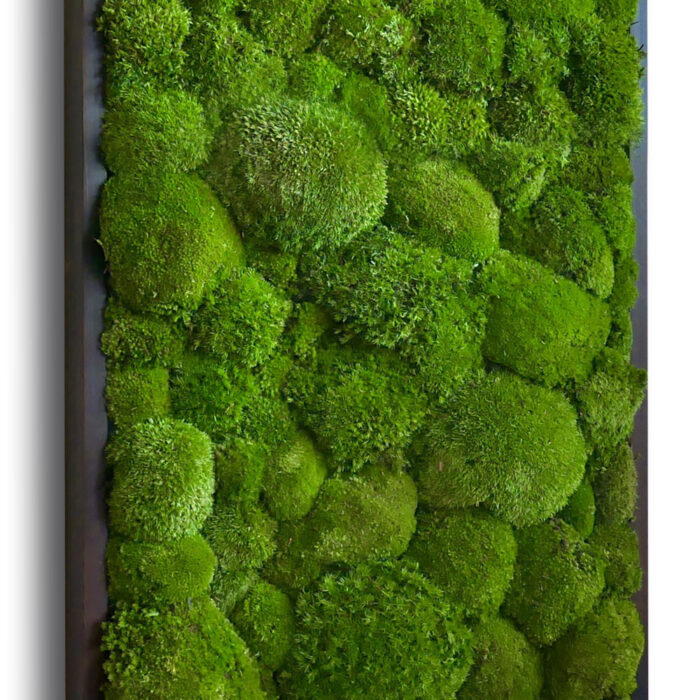 18x36-cushion-moss2 pole moss wall