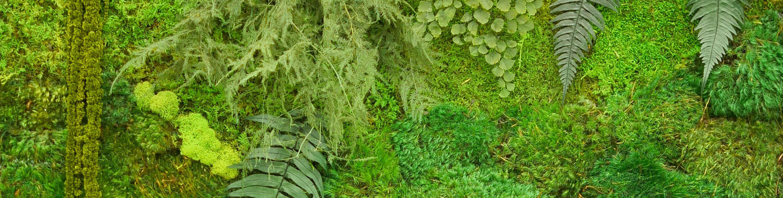 Moss Wall Art by WabiMoss  Green wall art for your interior space.