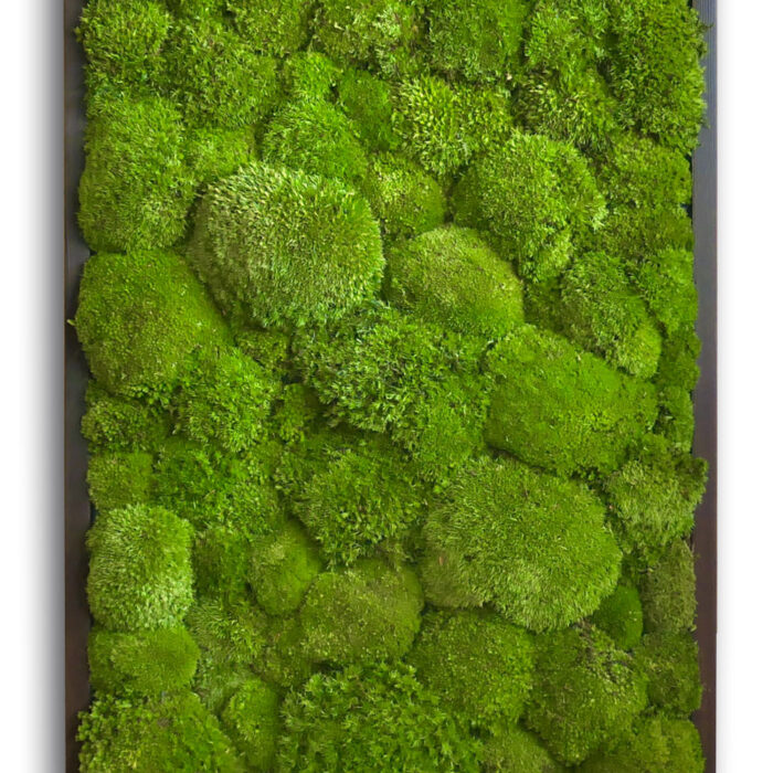 cushion-moss-18x36 cushion-moss-18x36