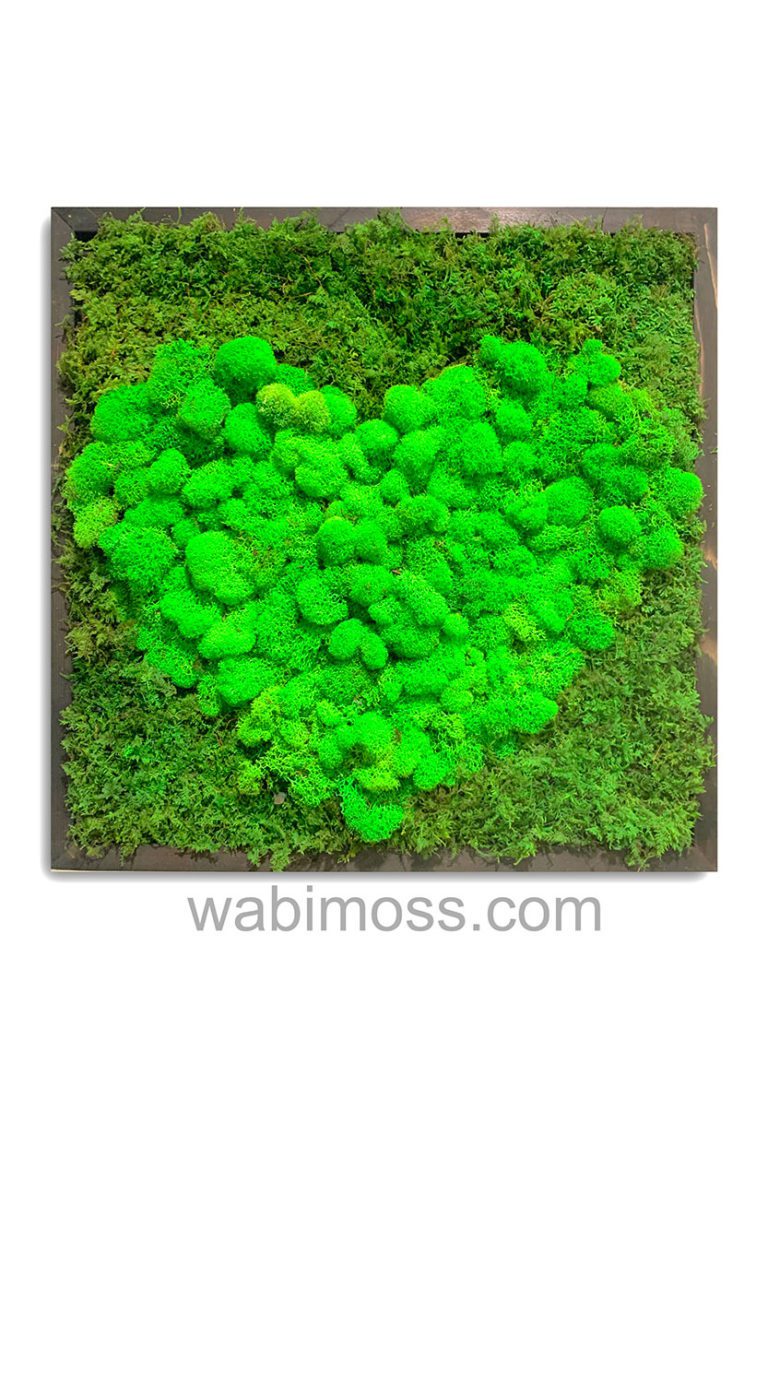 Love in Action Series