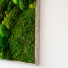 grey frame closeup2