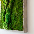 grey frame closeup5