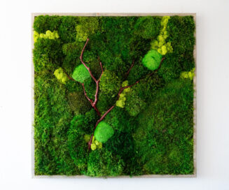 36x36 Moss Wall Art with Manzanita Branches