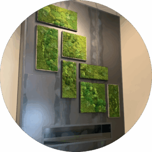 Residential Moss Wall Art