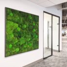 Organic modern design moss wall in subtle greens for office.