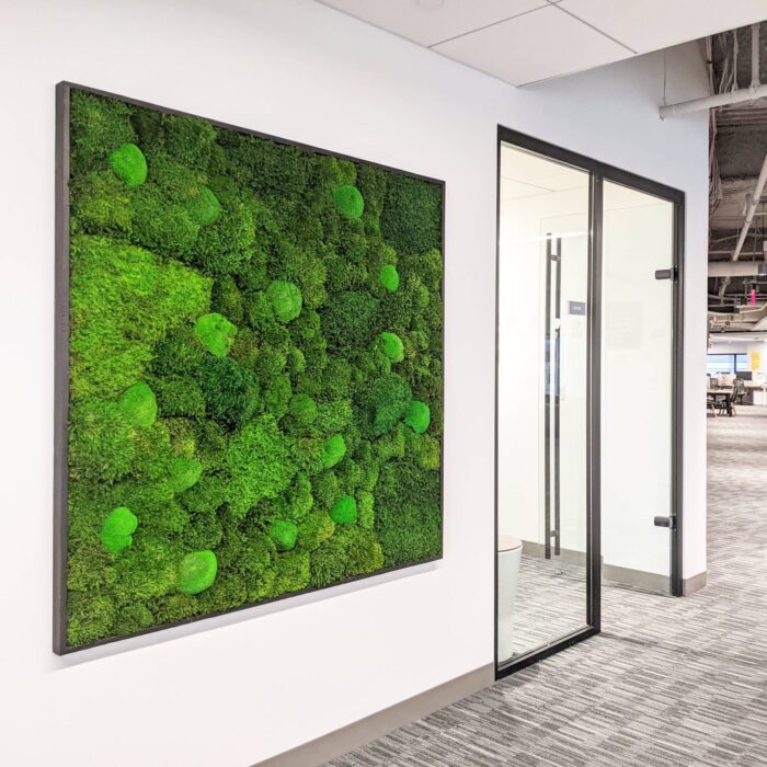 Organic modern design moss wall in subtle greens for office.