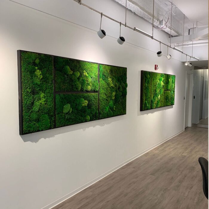 4 panel moss artwork that make a wide collage.