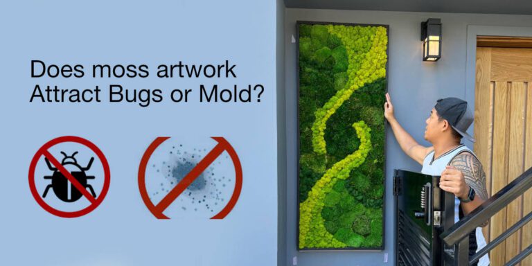Does Moss Wall Art Attract Bugs or Mold? The Truth Explained