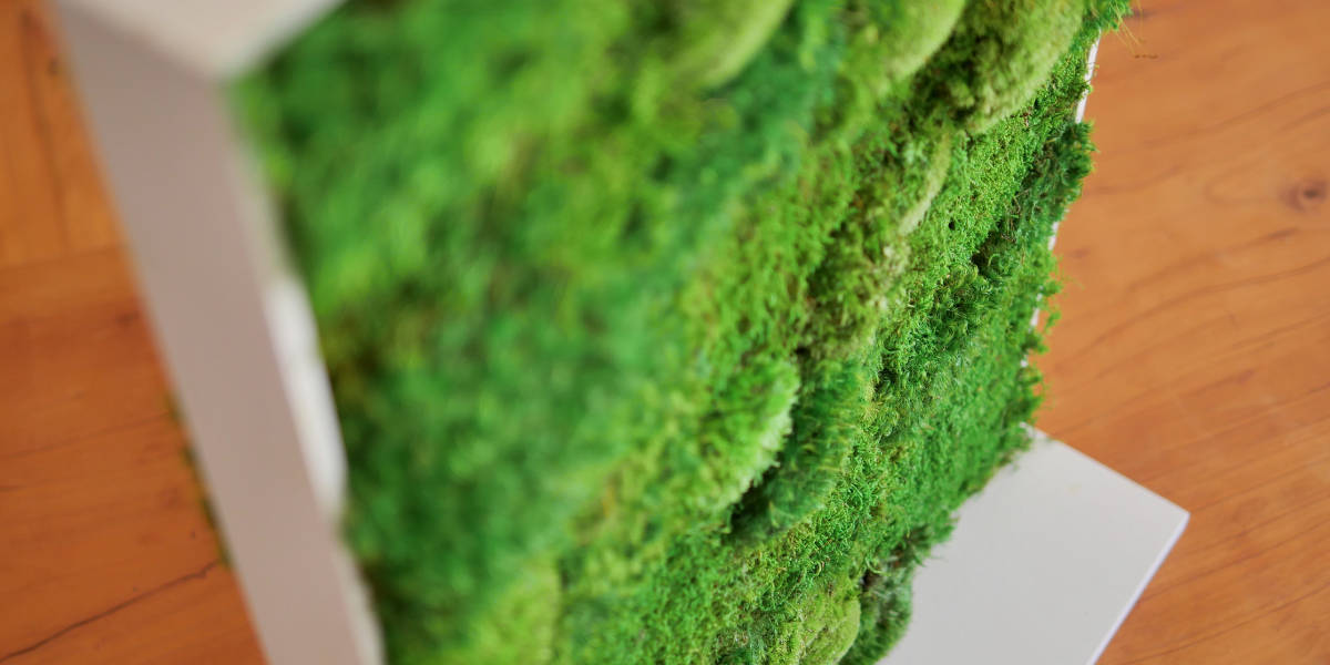 how to clean moss artwork. image of a purfume stand out of moss.