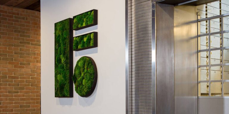 Custom Moss Art vs Ready-Made: Which Is Right for You?