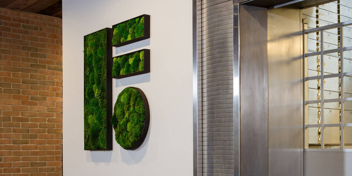 Custom moss artwork, a F logo made out of moss