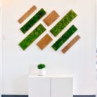 Diagnol display of moss panels and wood panels on white wall.