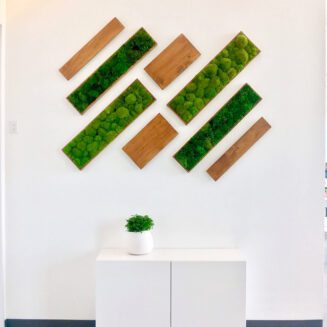 Diagnol display of moss panels and wood panels on white wall.