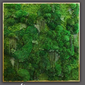 Best image of a gold framed moss artwork.